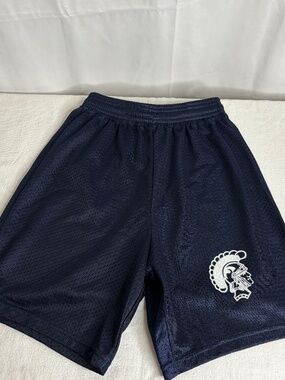 Vintage Alleson Athletic Youth Mesh Shorts L Trogan Logo Gym Workout School Y2K